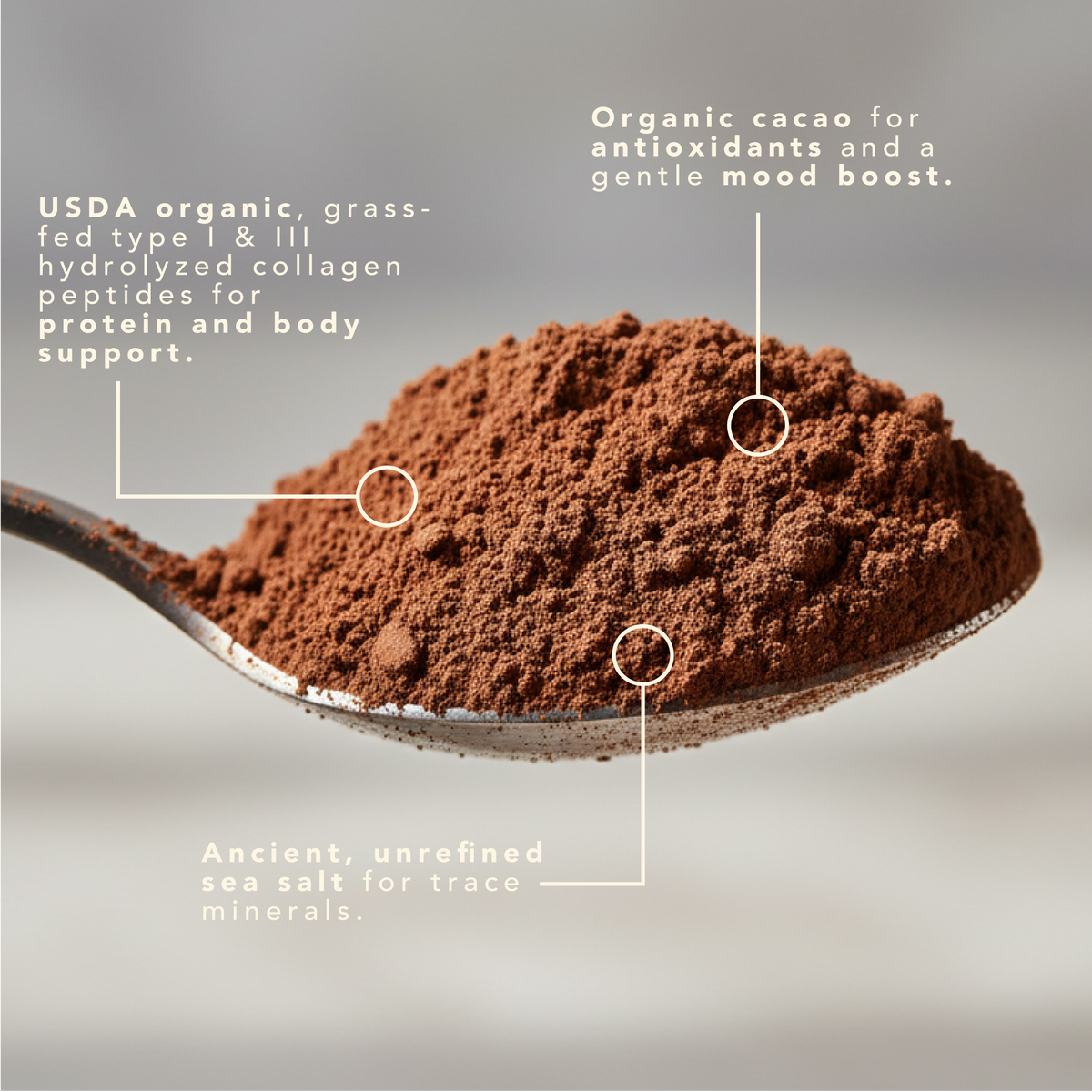 Organic Cacao + Sea Salt + Collagen